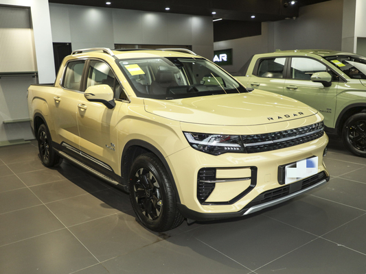 Geely RD6 rein elektrischer Pickup 4 Türen 5 Sitzkörper Struktur ABS-System enthalten