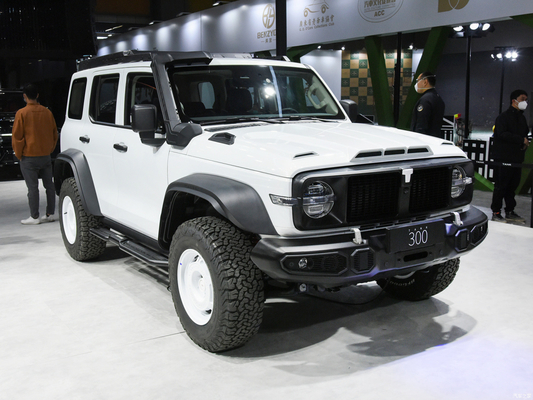 2023 GWM Offroad Tank 300 SUV 2.0T Benzinkraftstoff 4WD mit LED-Scheinwerfer ausgestattet