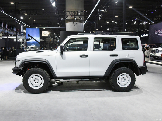 2023 GWM Offroad Tank 300 SUV 2.0T Benzinkraftstoff 4WD mit LED-Scheinwerfer ausgestattet