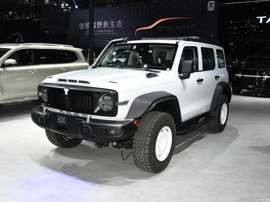 2023 GWM Offroad Tank 300 SUV 2.0T Benzinkraftstoff 4WD mit LED-Scheinwerfer ausgestattet