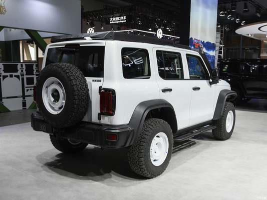 2023 GWM Offroad Tank 300 SUV 2.0T Benzinkraftstoff 4WD mit LED-Scheinwerfer ausgestattet