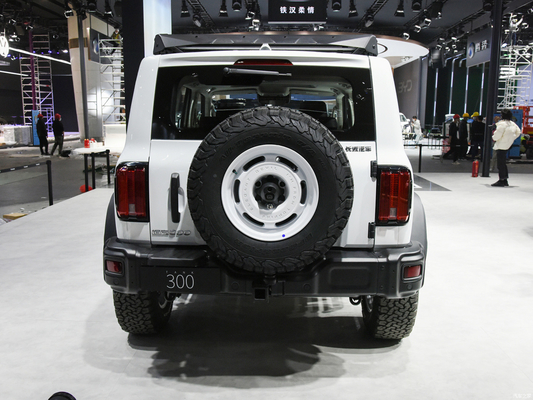 2023 GWM Offroad Tank 300 SUV 2.0T Benzinkraftstoff 4WD mit LED-Scheinwerfer ausgestattet