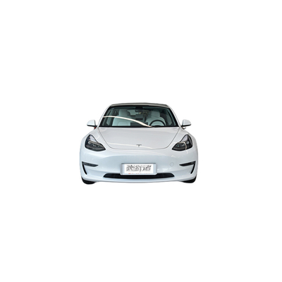 Erschwingliche Erwachsenenpreise für Speed Electric TESLA Modell 3 4WD Lithiumbatterie inklusive