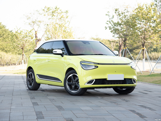 Hybrid-Treibstoff Typ 2024 Nammi 01 MAX Kleines intelligentes Energiefahrzeug mit Reichweite von 430 km