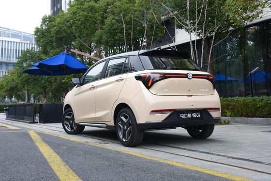 335KM reine elektrische Reichweite Yue 01 2024 Modell Lingyue Version mit Lithium-Batterie