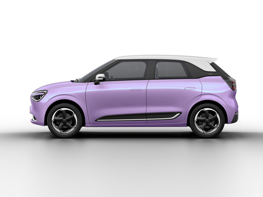 Max Smart Energy Vehicle Dongfeng Nami 01 2024 430 mit 4030*1810*1570 Karosseriestruktur