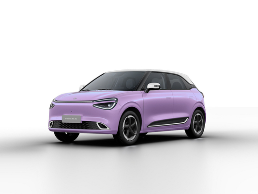 Max Smart Energy Vehicle Dongfeng Nami 01 2024 430 mit 4030*1810*1570 Karosseriestruktur