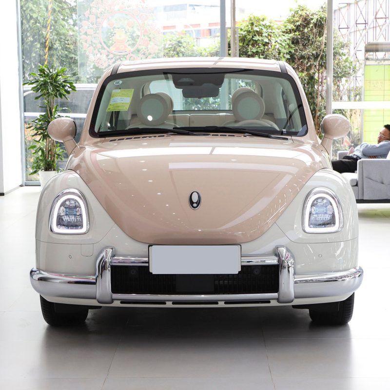2023 Girls Speed Electric Car Euler Ballet Cat 401KM Nussensprenger Version für 5 Sitzplätze