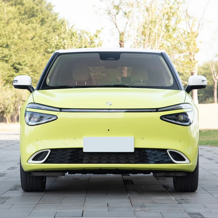 Hybrid-Treibstoff Typ 2024 Nammi 01 MAX Kleines intelligentes Energiefahrzeug mit Reichweite von 430 km