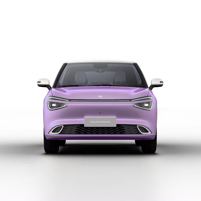 Max Smart Energy Vehicle Dongfeng Nami 01 2024 430 mit 4030*1810*1570 Karosseriestruktur